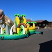 Dinosaurus překážková dráha